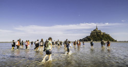 Sables mouvants  à Baie du Mont-Saint-Michel